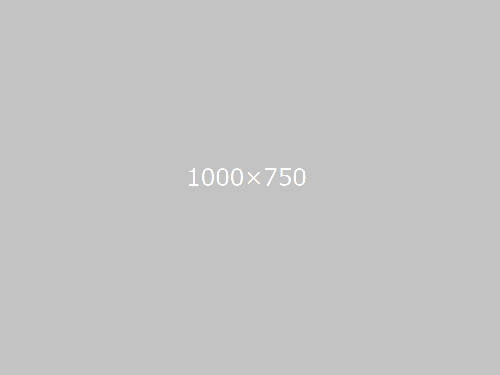 1000x750